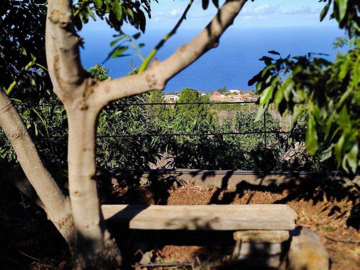 Villa La Cartita Puntagorda Esterno foto
