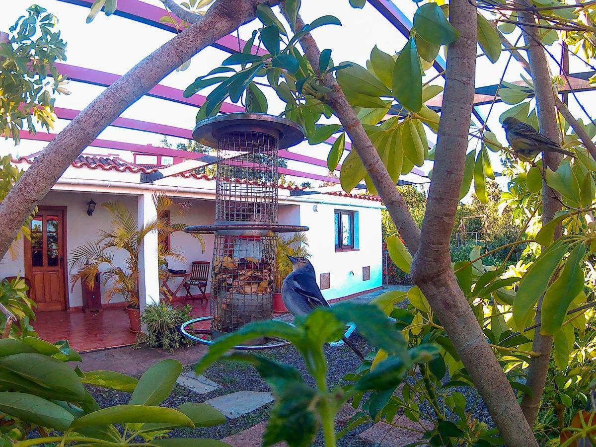 Villa La Cartita Puntagorda Esterno foto